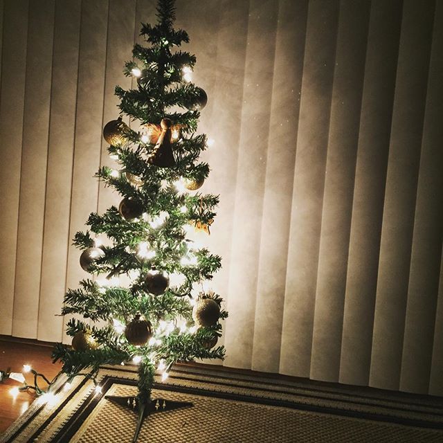It's December!! And I got my very first mini Christmas tree. Yay! Happy December everyone! Tervetuloa Joulukuu ja mun eka ikioma minikuusi. :) Ihanaa Joulukuuta kaikille! #december #christmas #christmastree #mini #joulukuu #joulukuusi #joulu